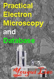 Practical Electron Microscopy and Database - An Online Book